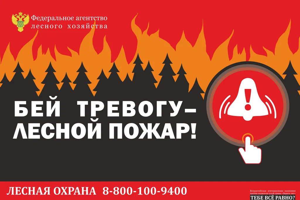 Лесной пожар - страшное бедствие!.